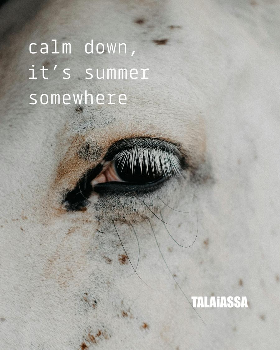 Talaiassa 1